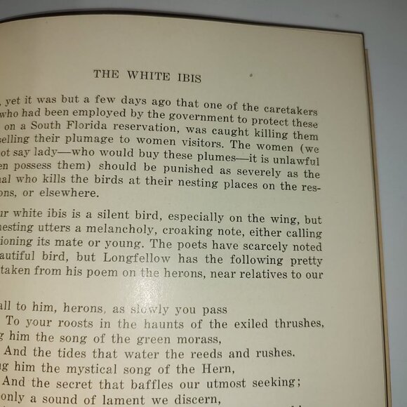 Vtg. Nature Book:Gems Gleaned From Pages of Panama City Pilot 1907-1926 AS IS - Picture 10 of 12